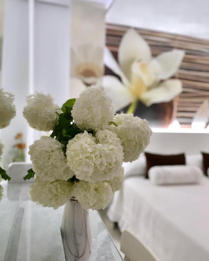 El Jardin Hotel Soto de la Marina Eksteriør billede