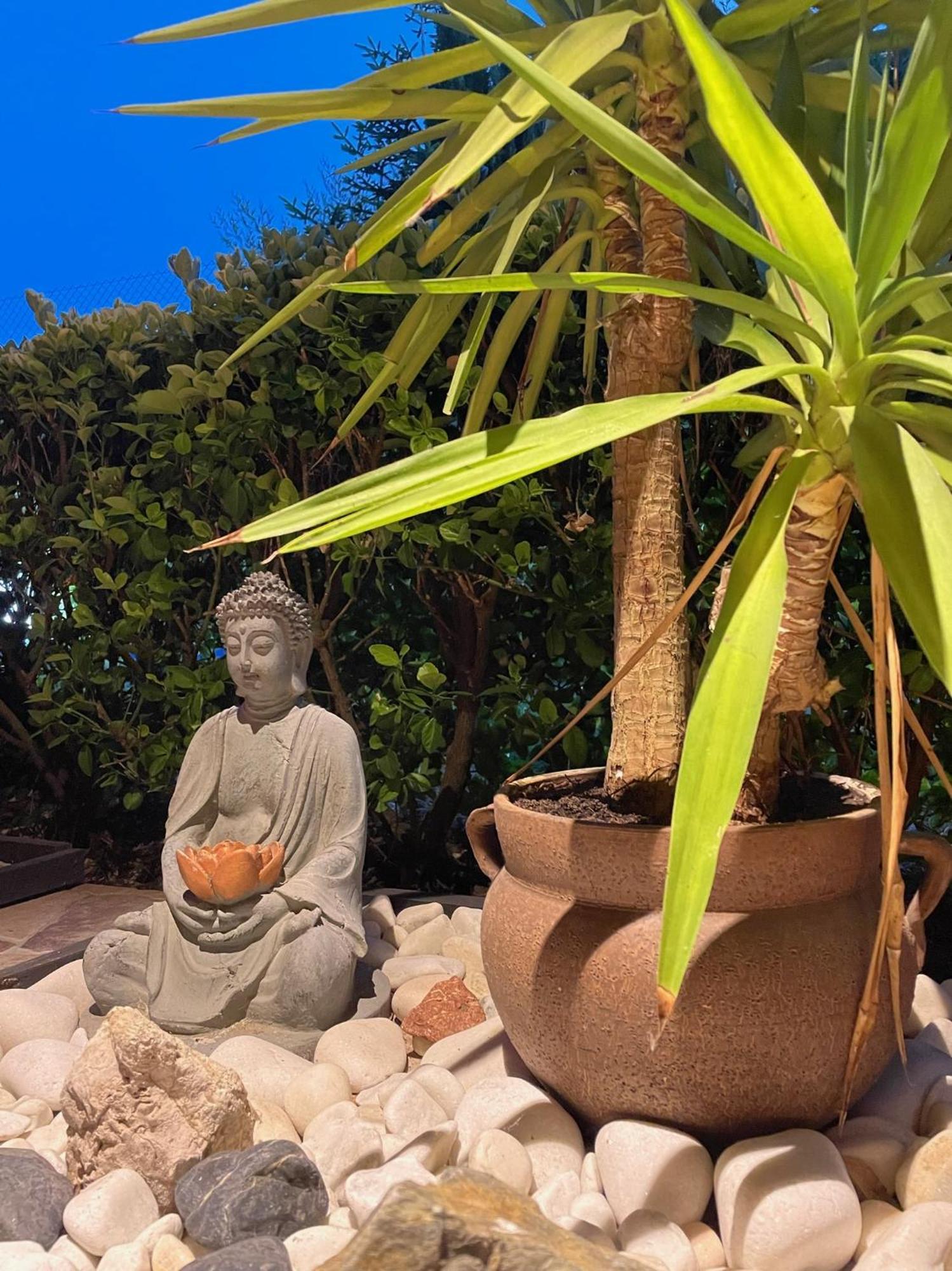 El Jardin Hotel Soto de la Marina Eksteriør billede