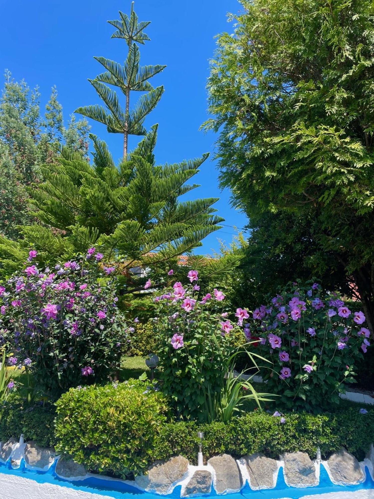 El Jardin Hotel Soto de la Marina Eksteriør billede